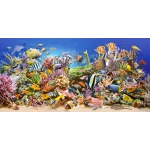 Underwater Life Underwater Life