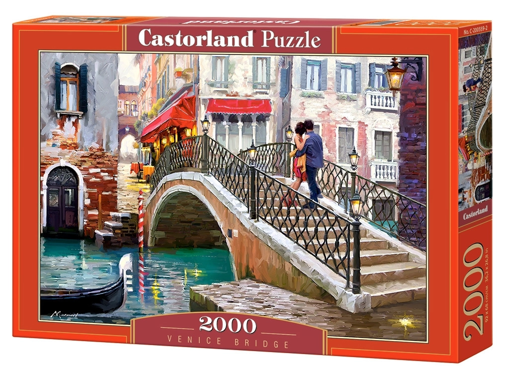 Venice Bridge