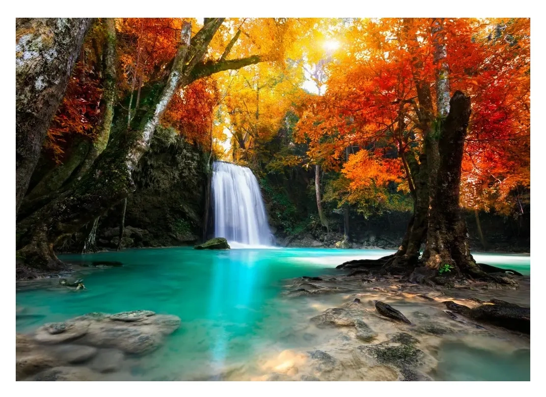 Deep Forest Waterfall
