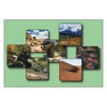 Unikum: Landschaften und Tiere (Set 2)