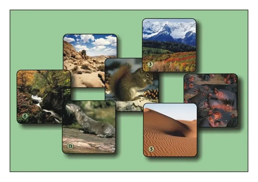 Unikum: Landschaften und Tiere (Set 2)