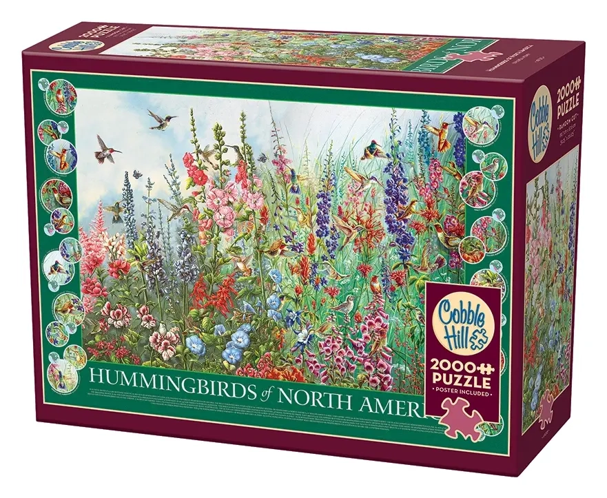Kolibris von Nordamerika