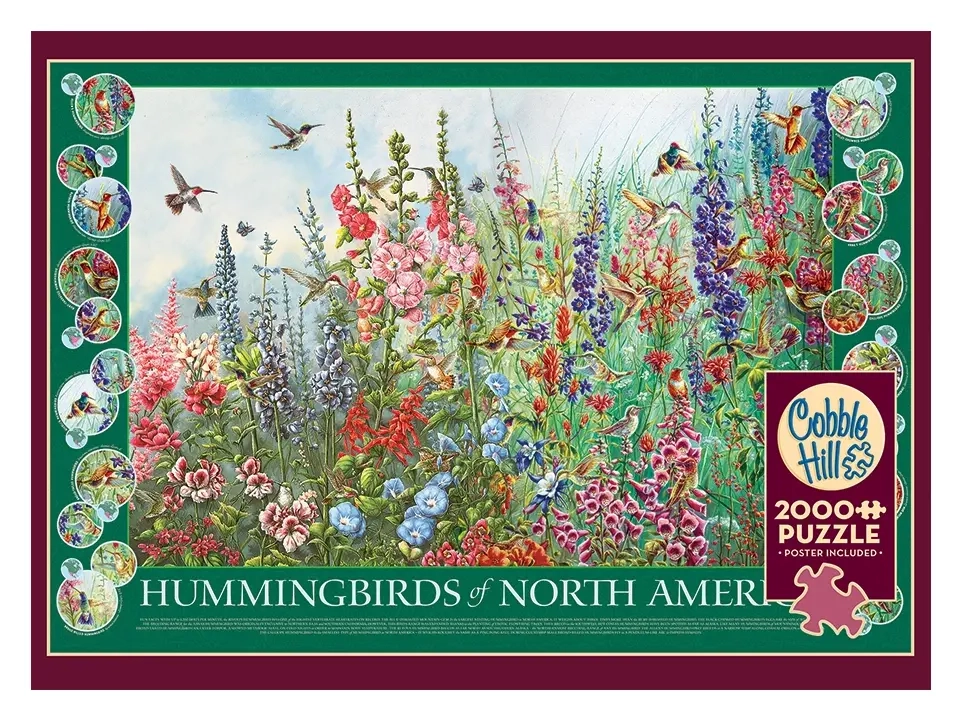 Kolibris von Nordamerika