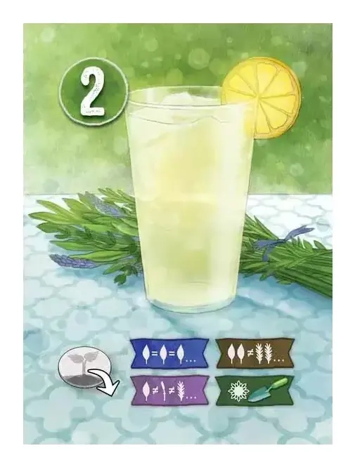 Herbaceous Sprouts - EN