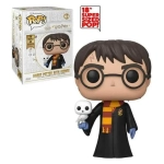 Harry Potter - Harry Potter with Hedwig 48 cm