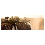 Elephant - Victoria Falls Zambia