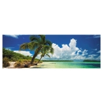 Paradise Palms - Bahia Honda State Park USA