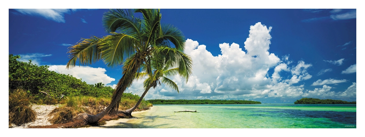 Paradise Palms - Bahia Honda State Park USA