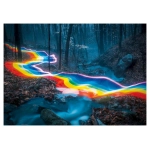Rainbow Road - Magic Forests