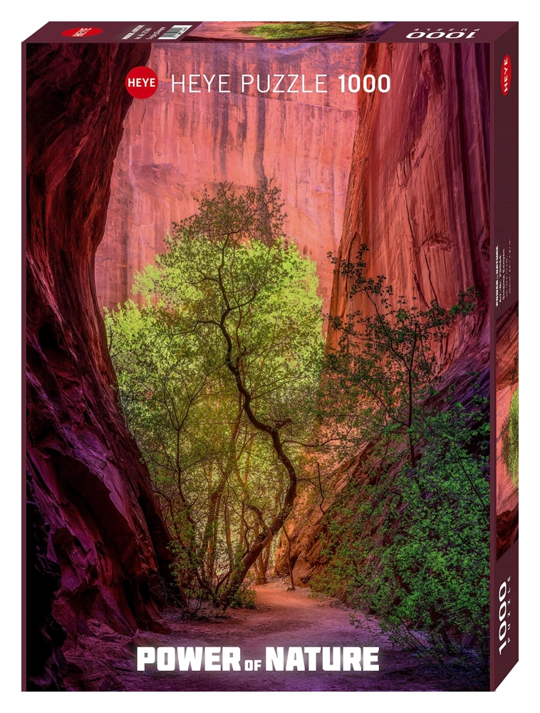 Signing Canyon - Power of Nature