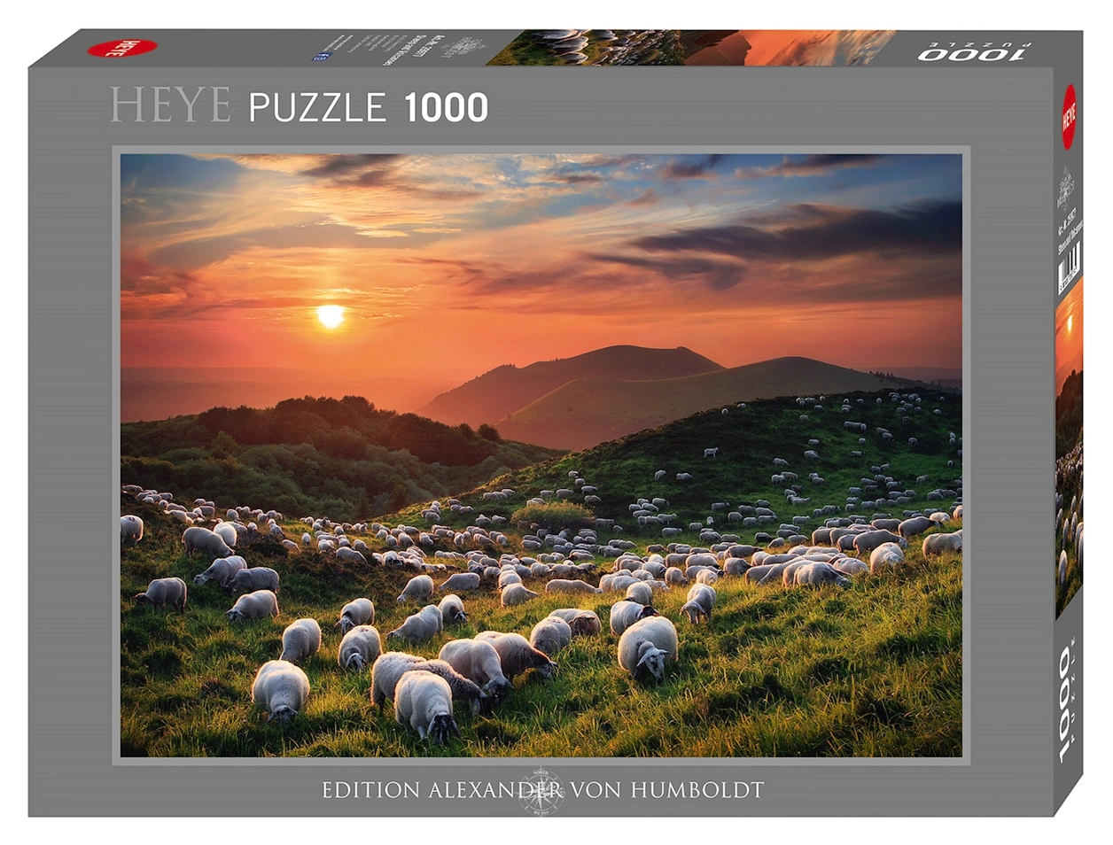 Sheep and Volcanoes