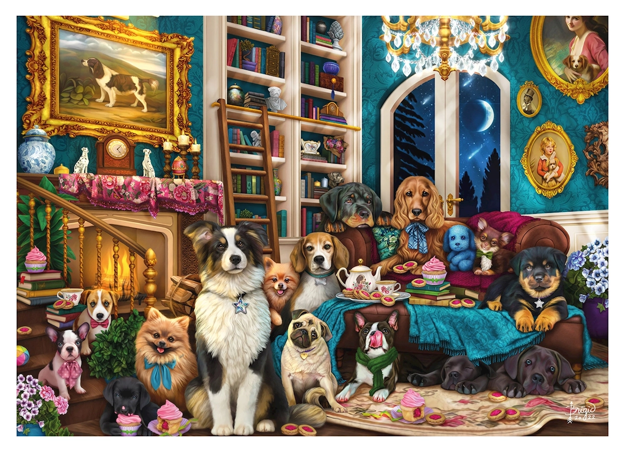 Party in der Bibliothek - Brigid Ashwood