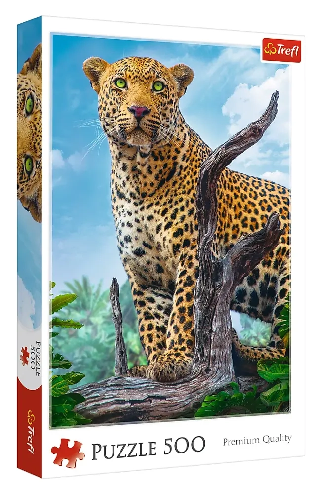 Leopard