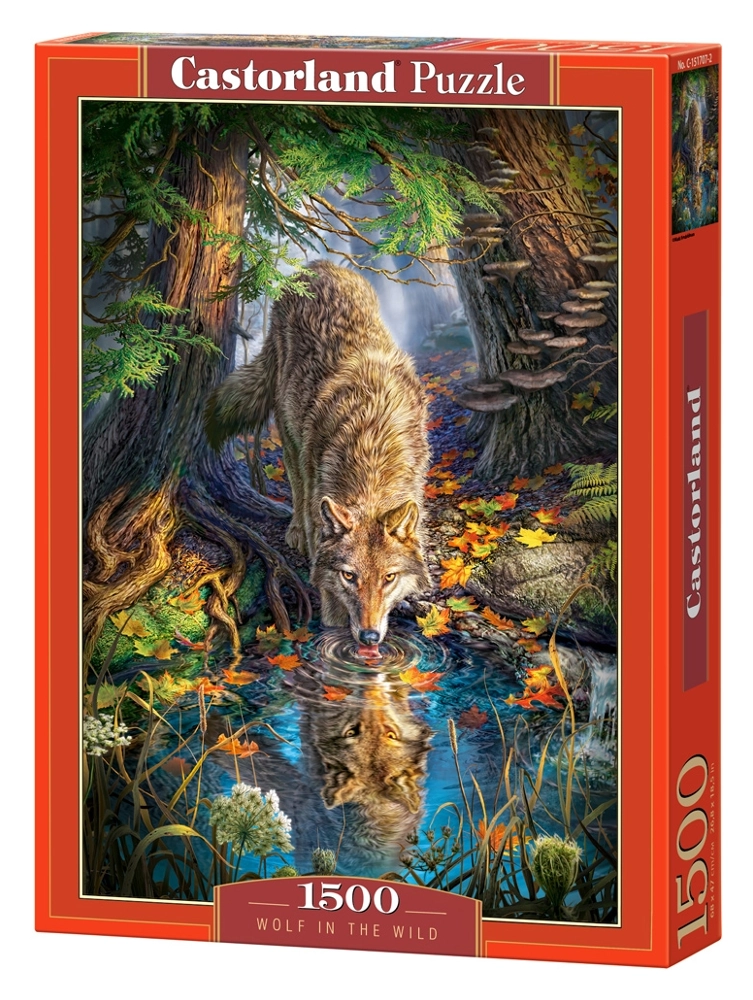 Wolf in the Wild
