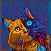 Avatar von kev