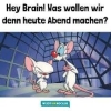Avatar von SeaAge